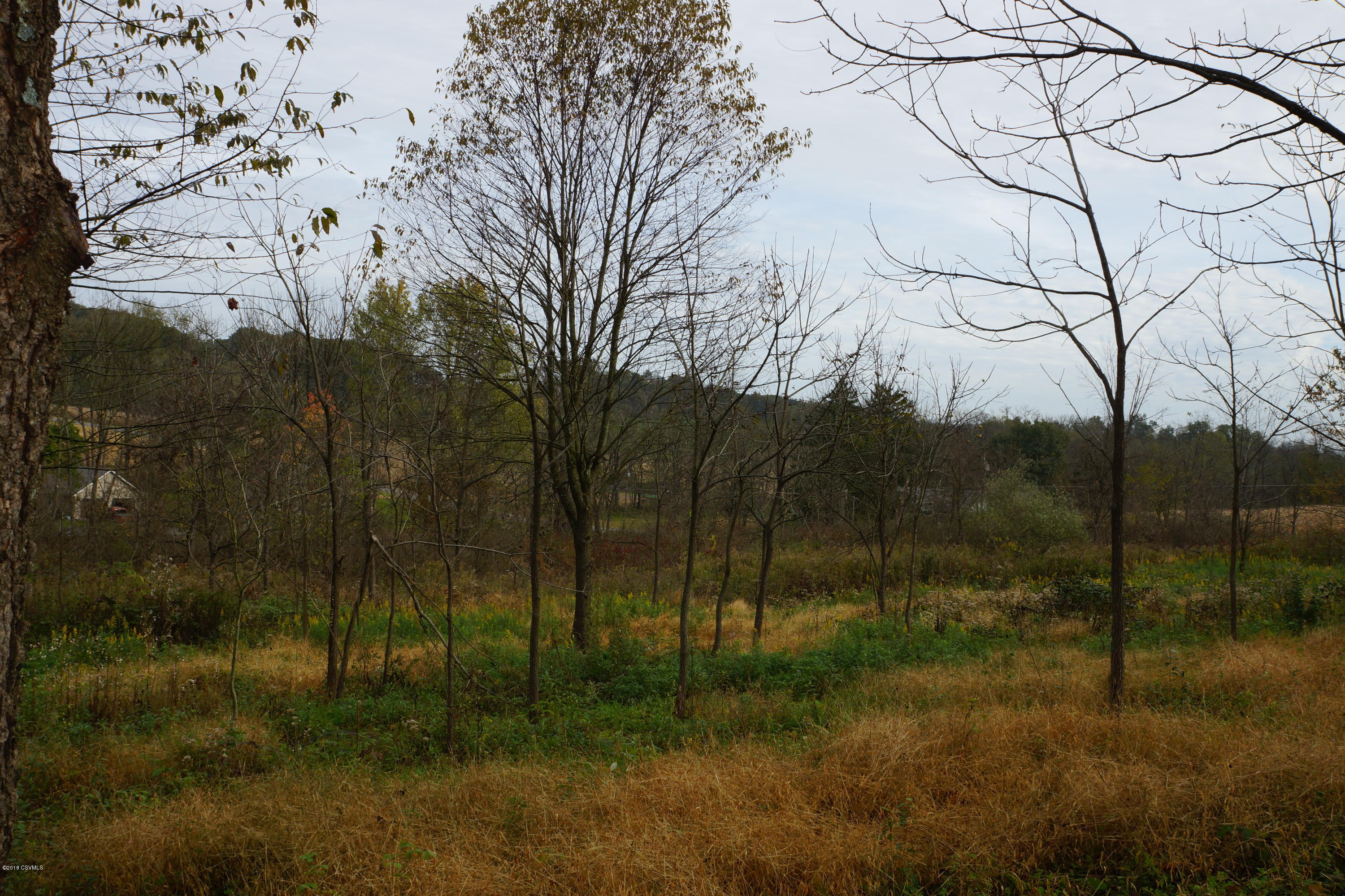 Lot 4 Milroy Road New Columbia, PA 17856 - Photo 17 of 27