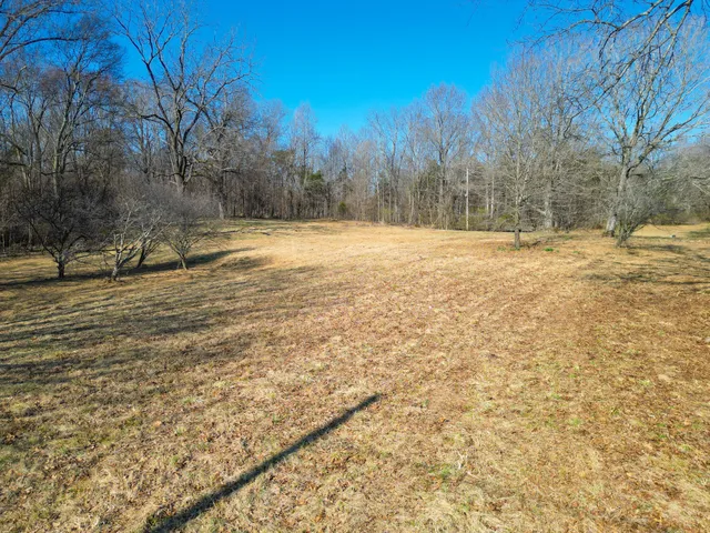 a view of lake with mountain