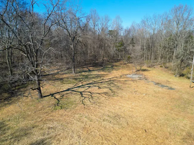 a backyard of a house with lots of trees