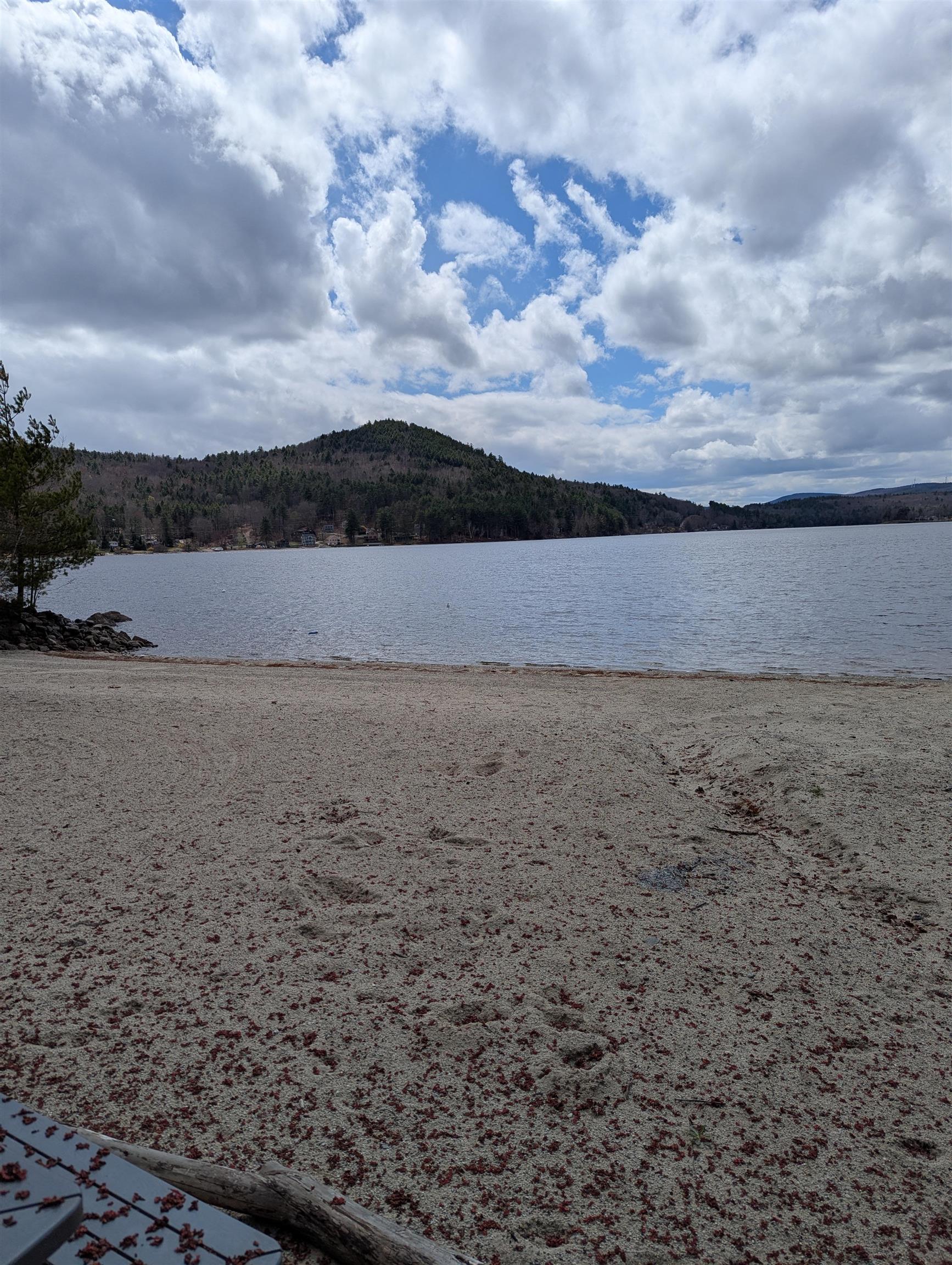 14 Morgan Road Hillsborough, NH 03244 - Photo 3 of 18