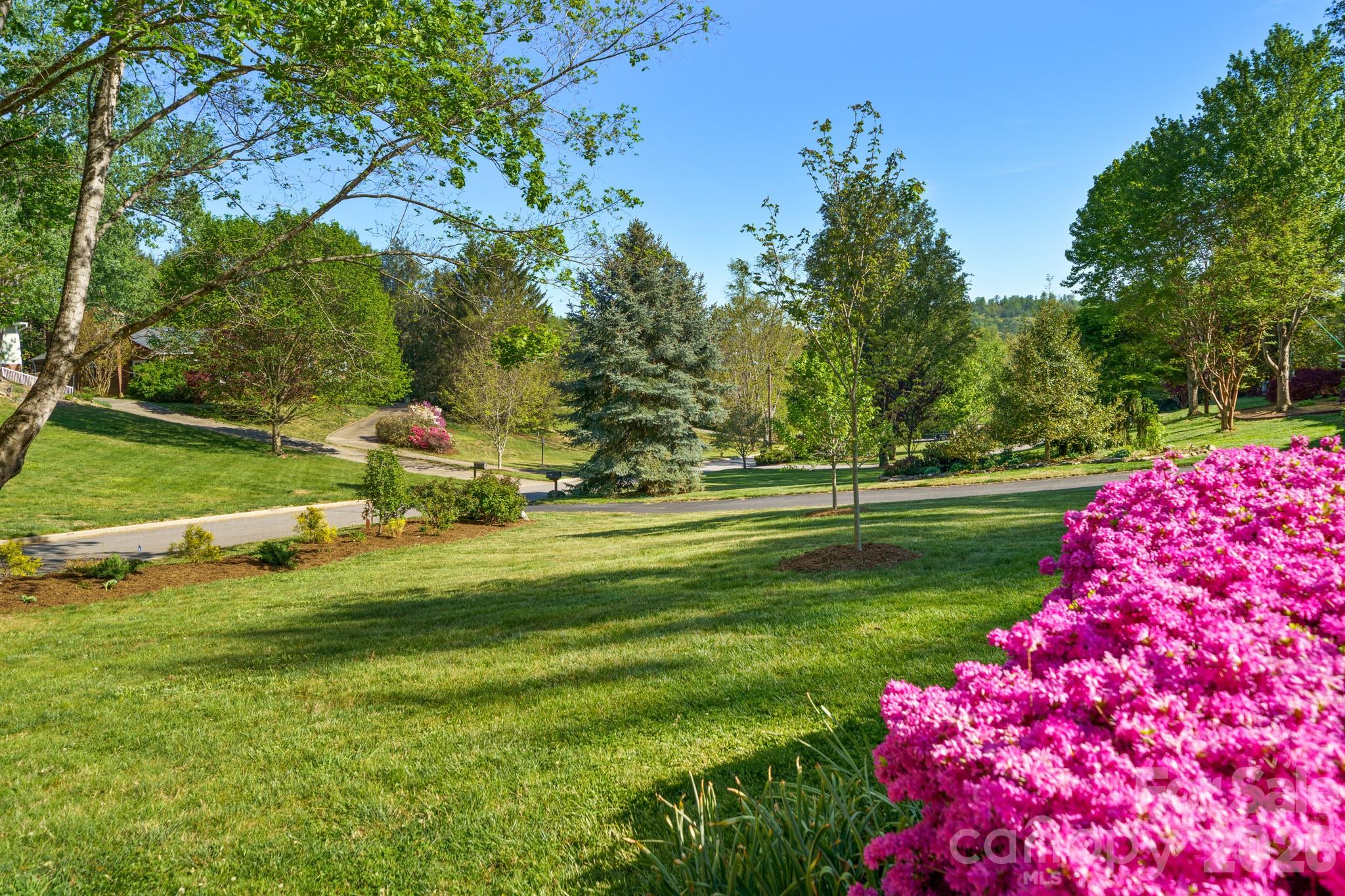 43 Martindale Road Asheville, NC 28804 - Photo 47 of 48