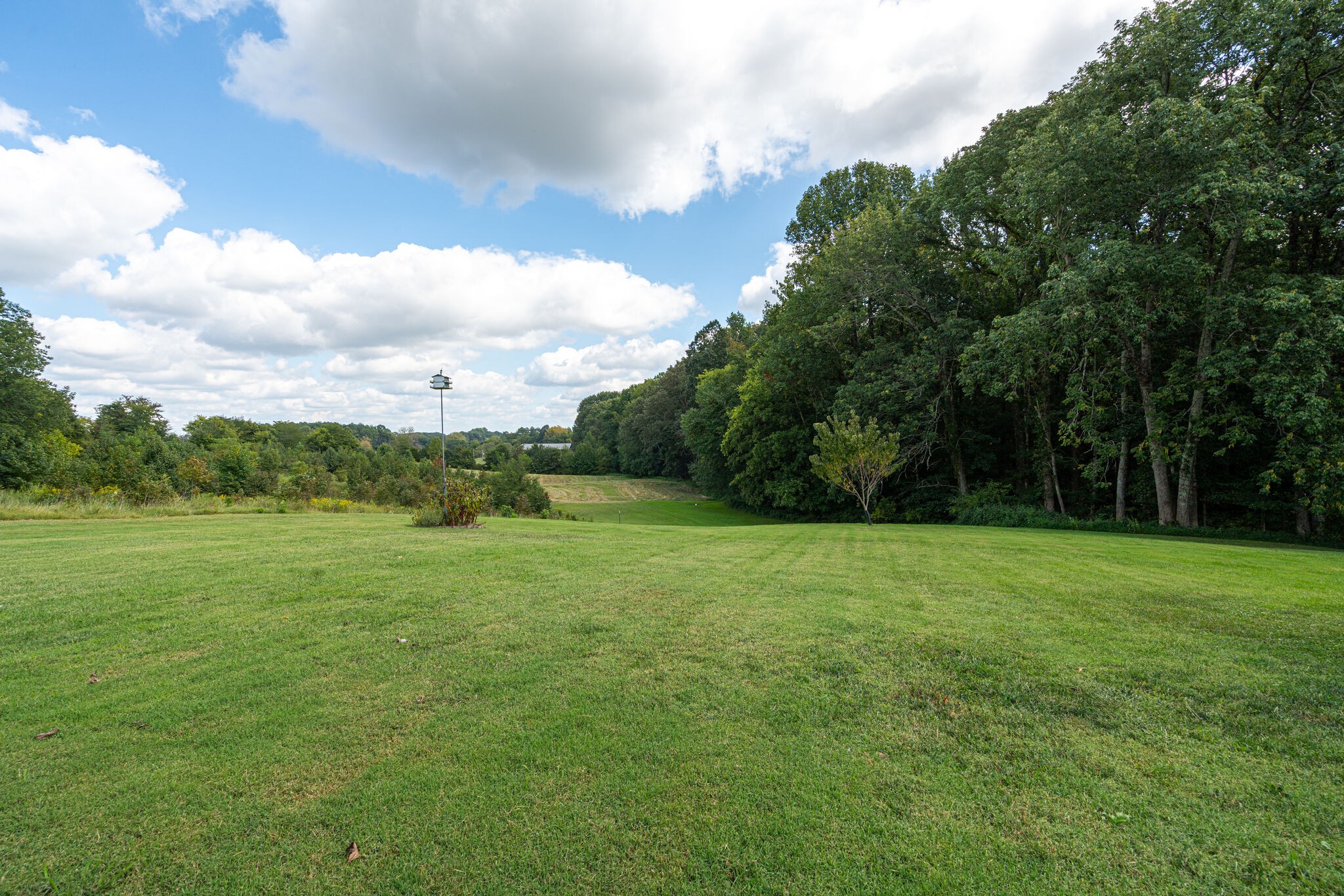 8882 New Chapel Road Springfield, TN 37172 - Photo 44 of 60 a view of field with trees in the background