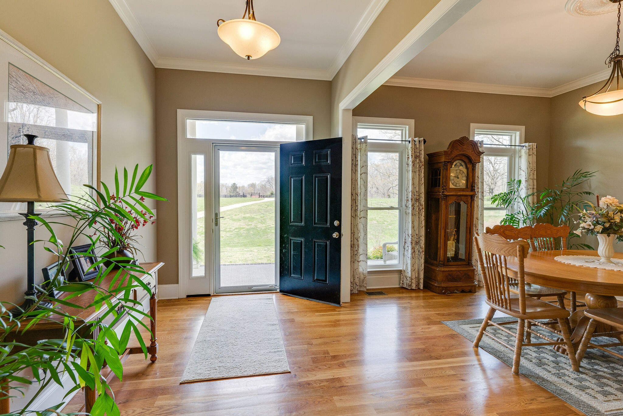 8882 New Chapel Road Springfield, TN 37172 - Photo 7 of 60 a living room with furniture and a potted plant
