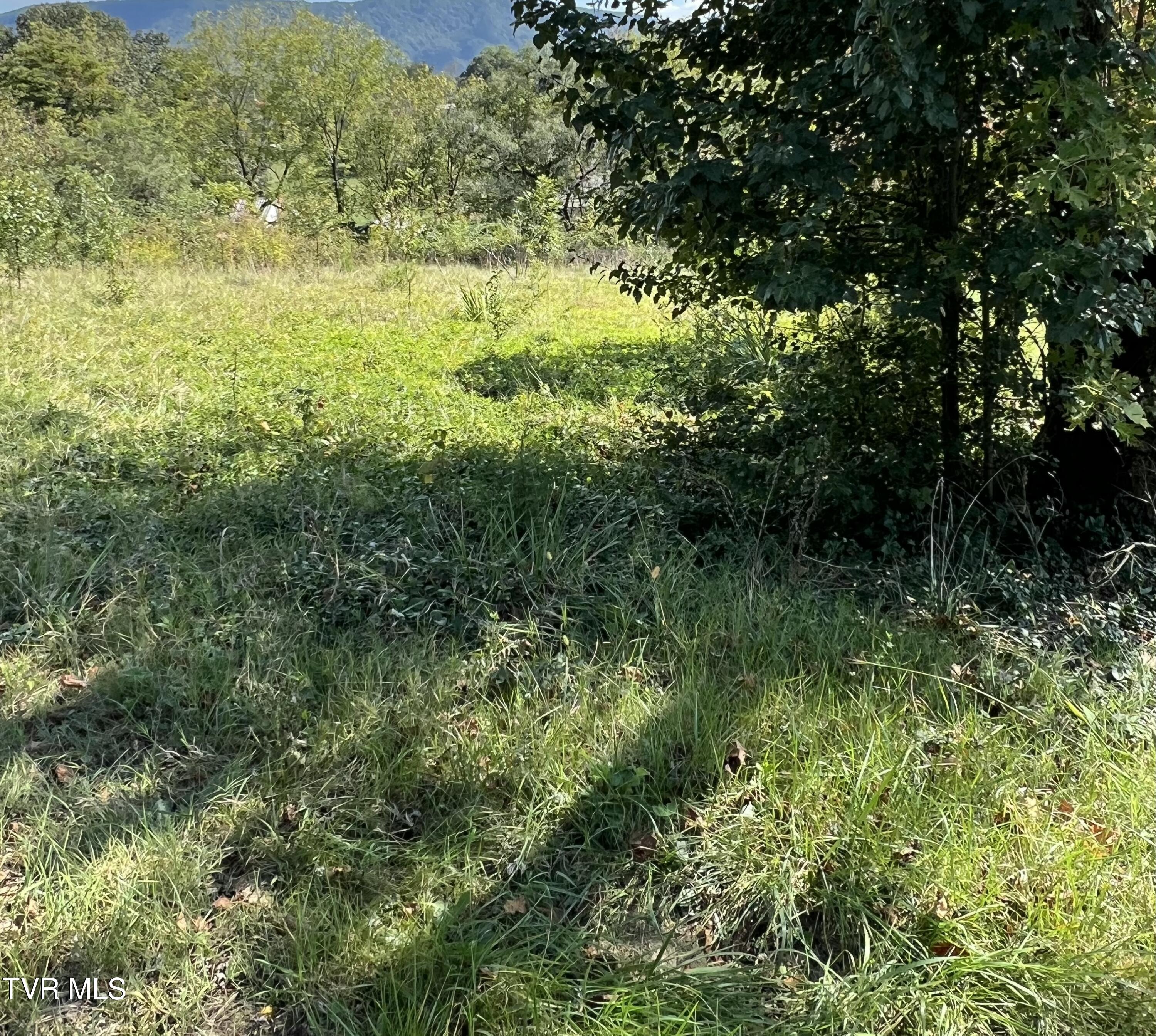 0 Poplar Grove Road Kingsport, TN 37664 - Photo 1 of 1 IMG_9506 2