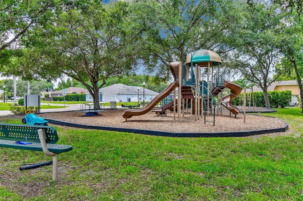 8706 Linebrook Drive Trinity, FL 34655 - Photo 41 of 41