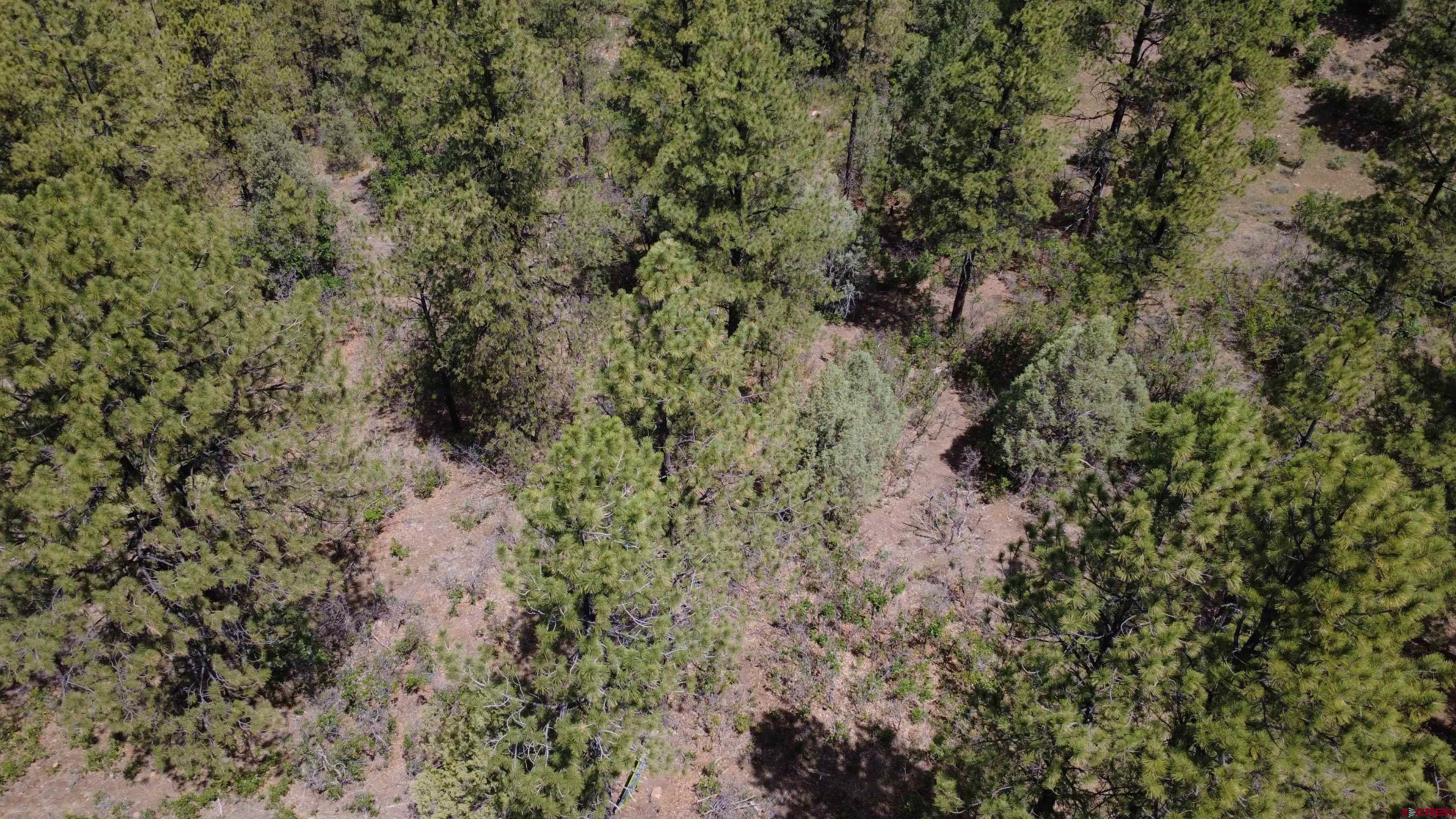 121 Engineer Point Pagosa Springs, CO 81147 - Photo 36 of 43