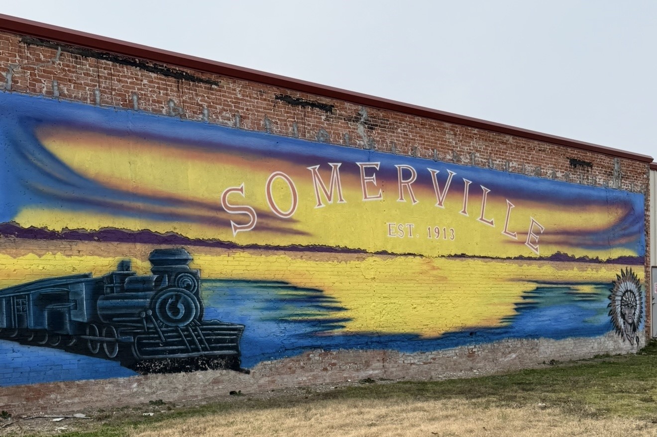 This photo features a vibrant mural on a brick wall in Somerville, depicting a train and scenic landscape with the text "Somerville Est. 1913." It's a charming and artistic representation of local history, adding character to the community.