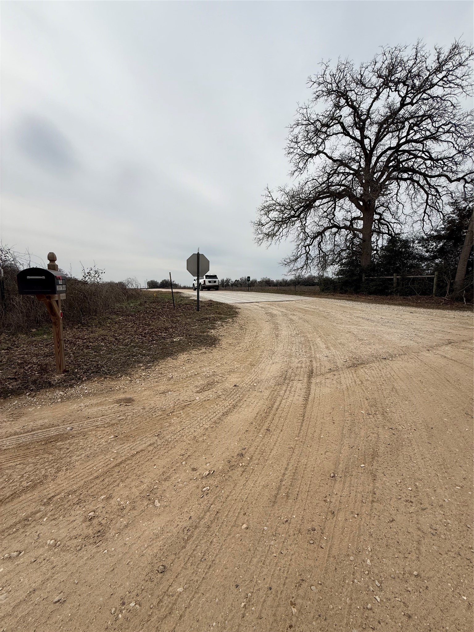 0 Serenity Rnch Road Somerville, TX 77879 - Photo 3 of 10 The photo shows a rural setting with the road curving past a large tree, a stop sign, and a mailbox. The area is open, with overcast skies, creating a tranquil, country feel.