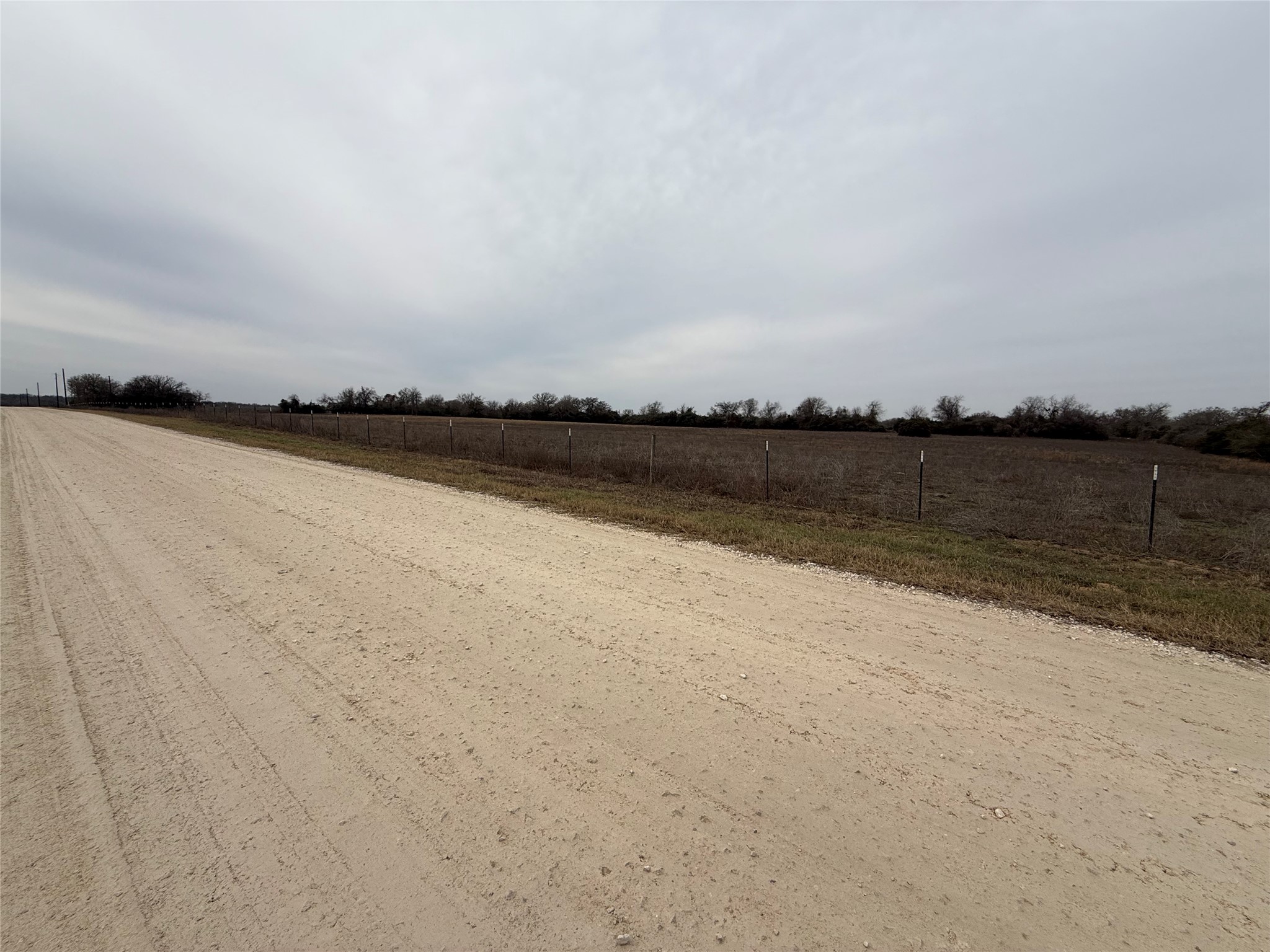 0 Serenity Rnch Road Somerville, TX 77879 - Photo 4 of 10 Expansive flat land with a dirt road and fenced perimeter. Ideal for development or agricultural use. Overcast sky adds a serene, rural atmosphere.