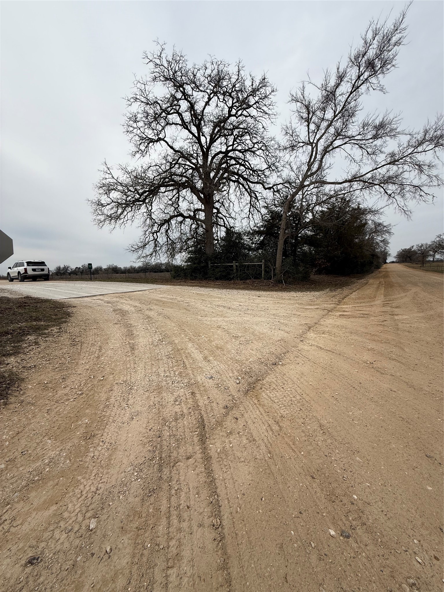 0 Serenity Rnch Road Somerville, TX 77879 - Photo 9 of 10 A corner 10.45 Acres natural environment.