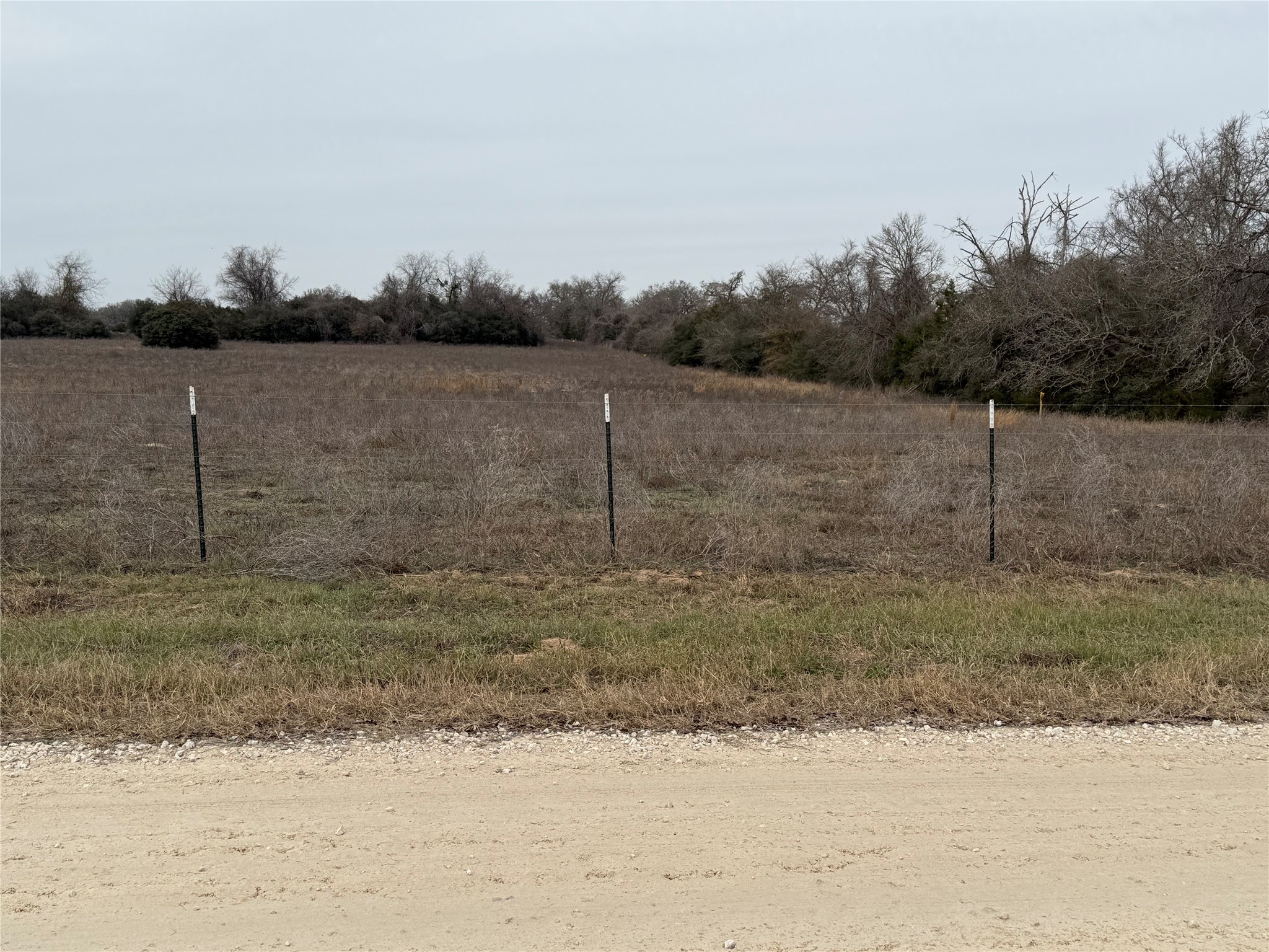0 Serenity Rnch Road Somerville, TX 77879 - Photo 10 of 10 Open, grassy plot of land with a wire fence, bordered by trees. The area is adjacent to a gravel road, offering a rural setting.