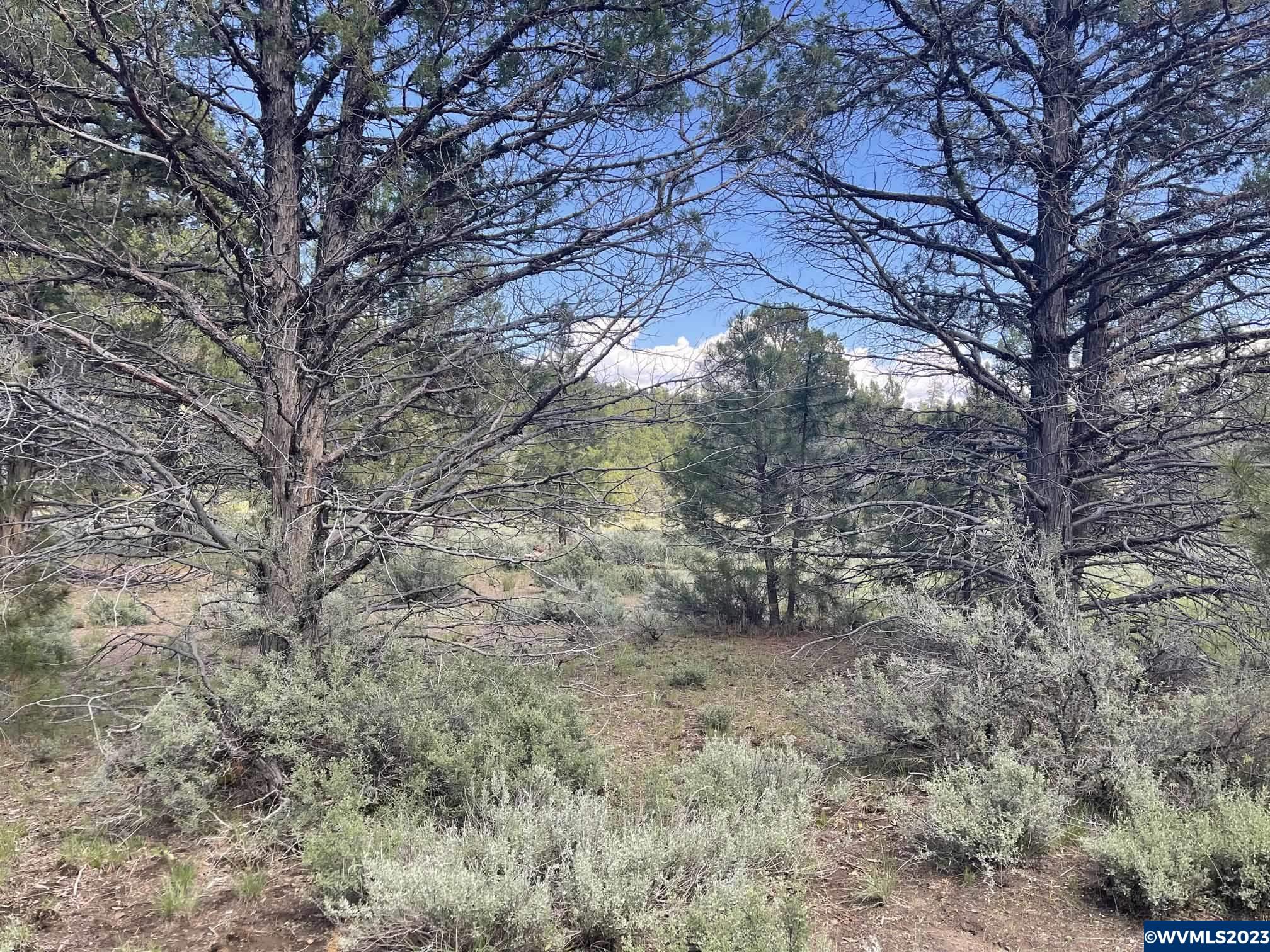 2802 Highway 140 Lakeview, OR 97630 - Photo 18 of 35