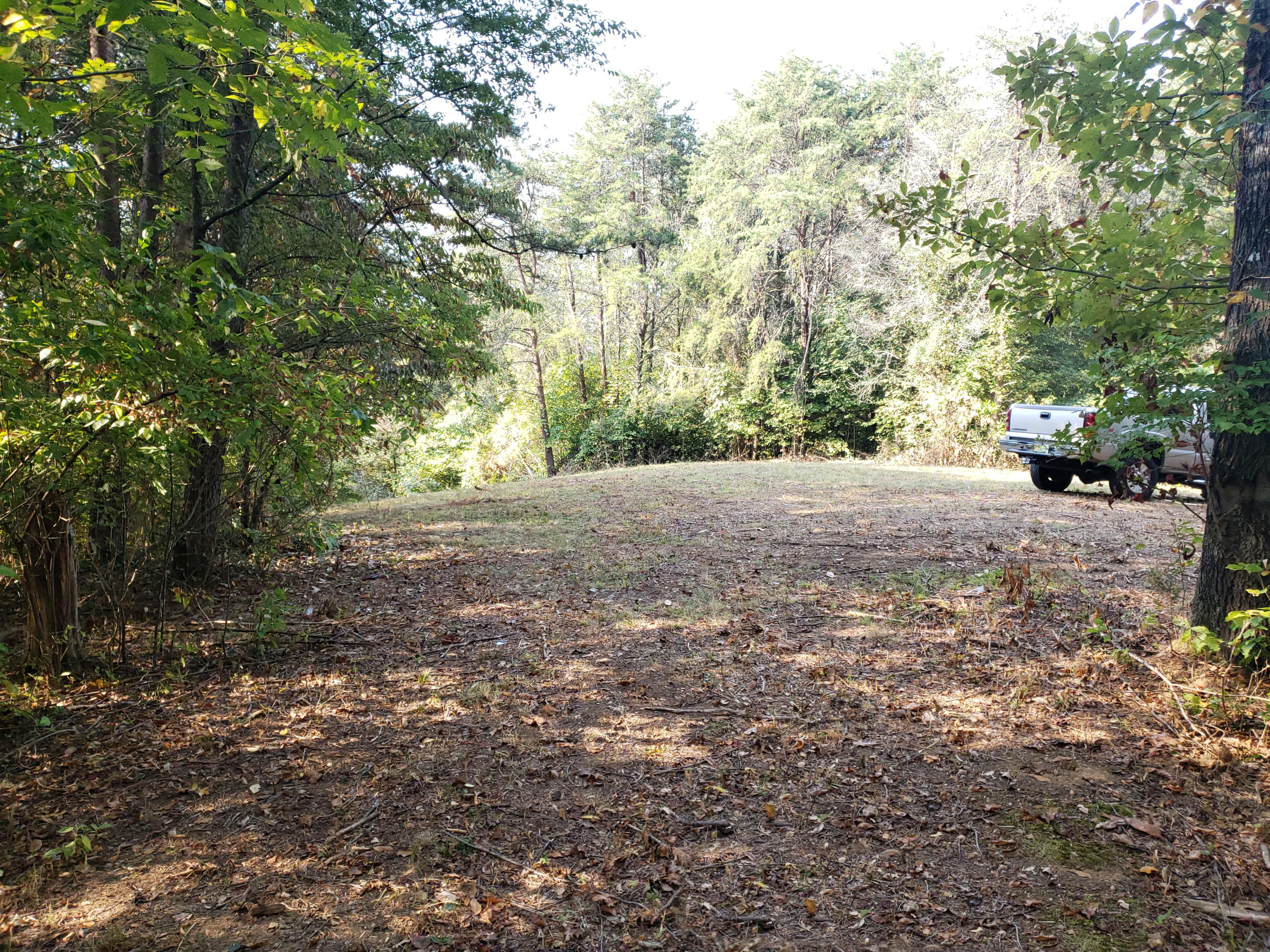 8.07 Smith School Road Kodak, TN 37764 - Photo 2 of 23 Top01