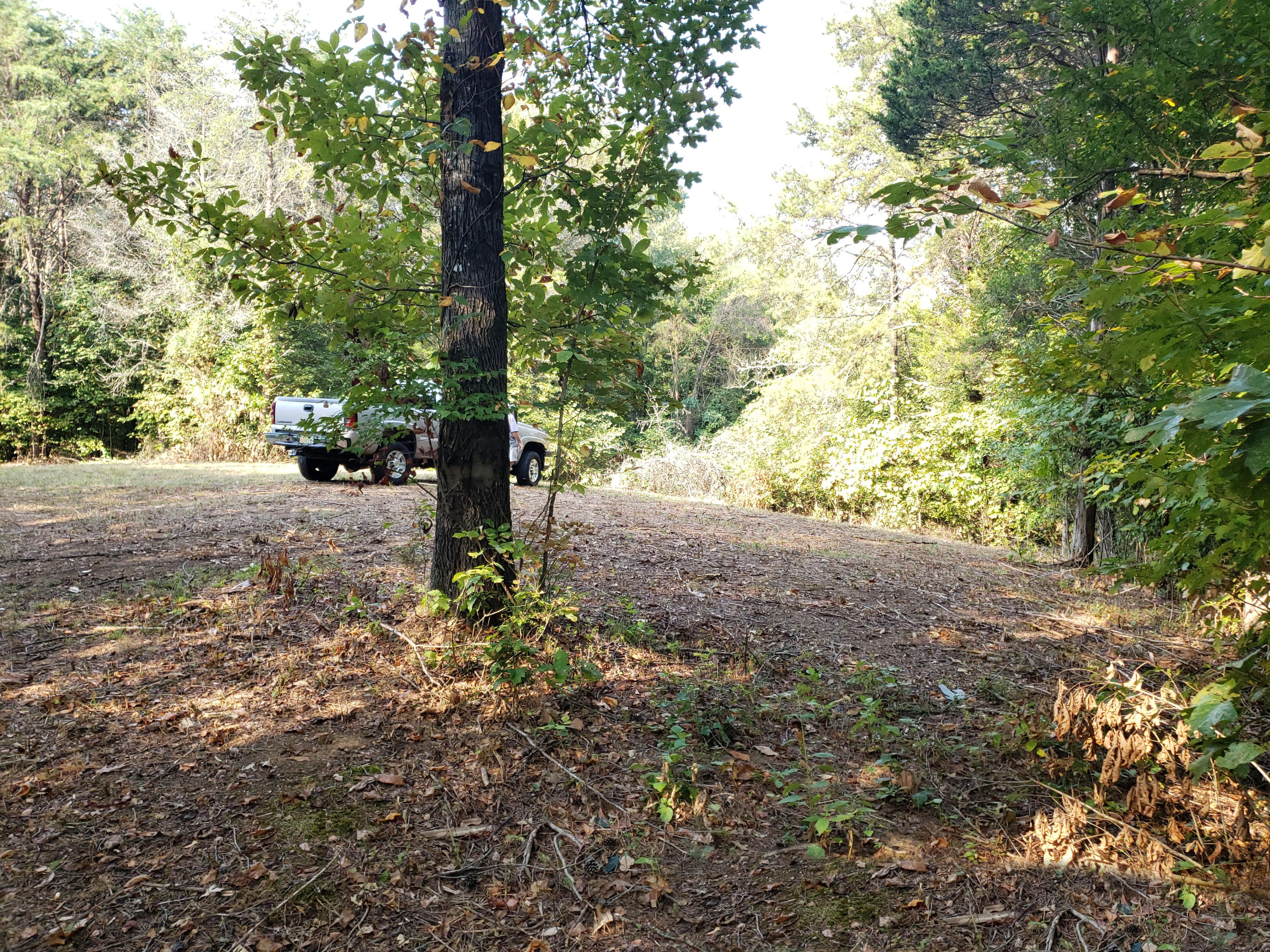 8.07 Smith School Road Kodak, TN 37764 - Photo 3 of 23 Top02