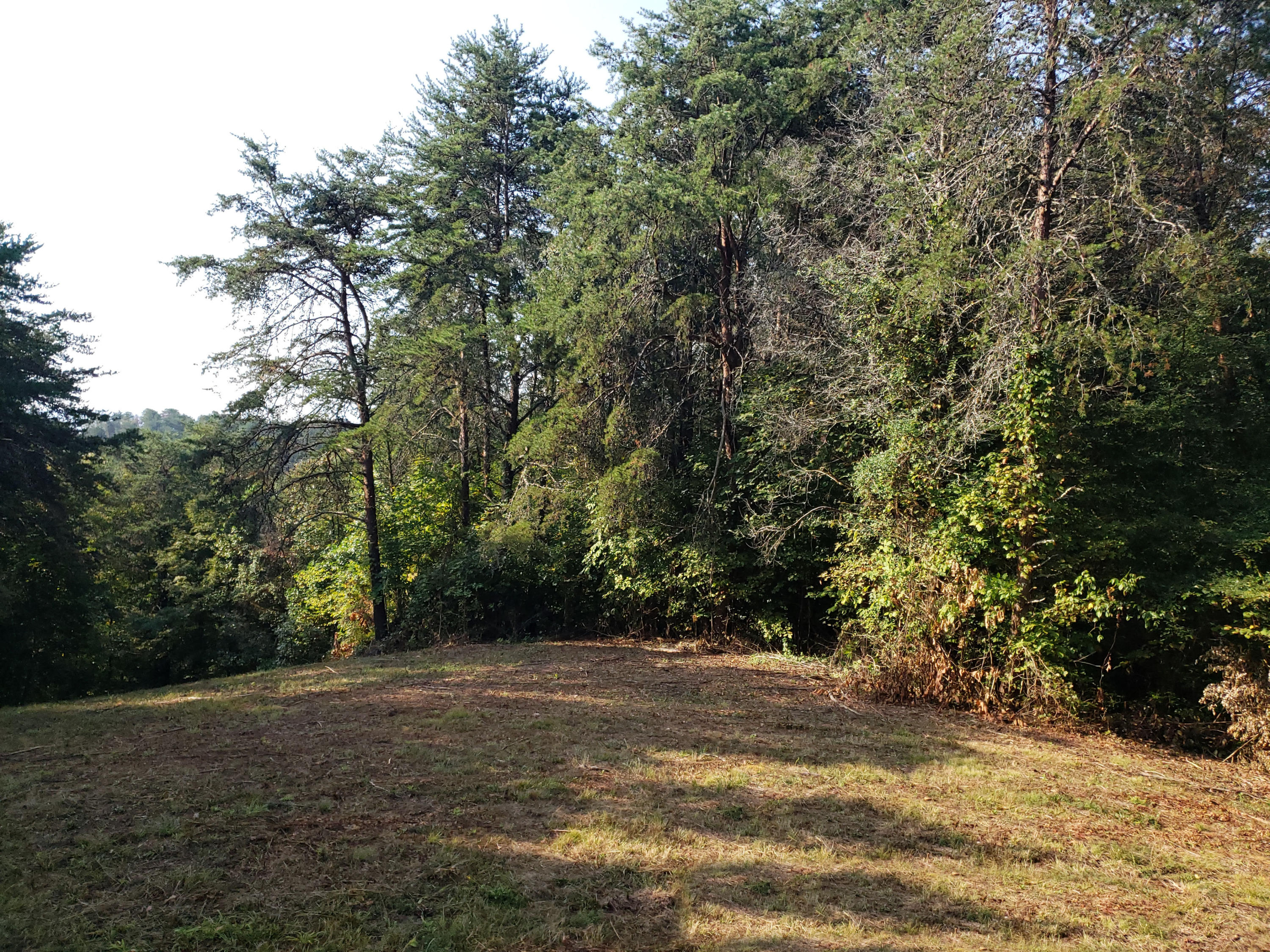 8.07 Smith School Road Kodak, TN 37764 - Photo 5 of 23 Top04