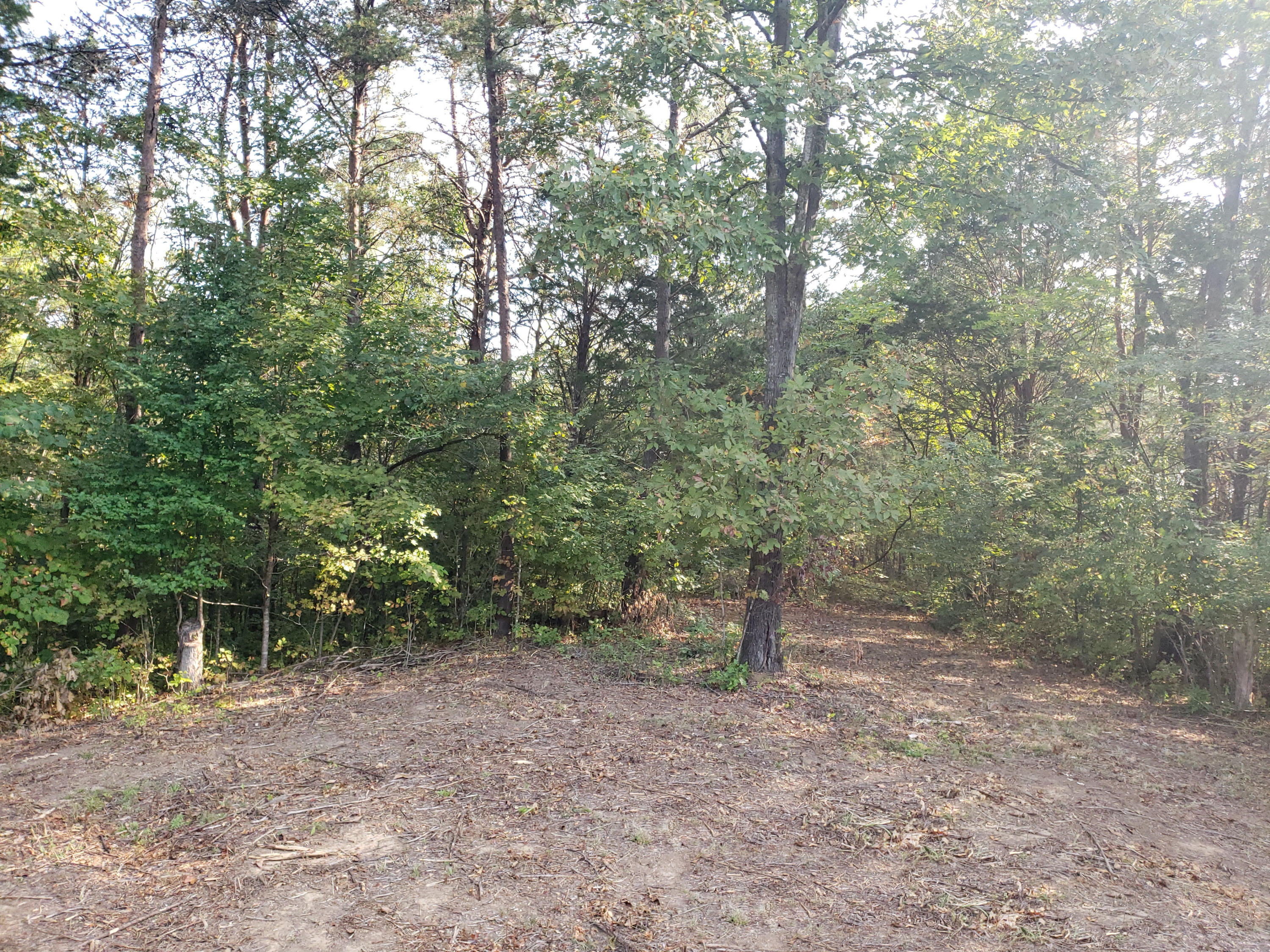 8.07 Smith School Road Kodak, TN 37764 - Photo 6 of 23 Top05
