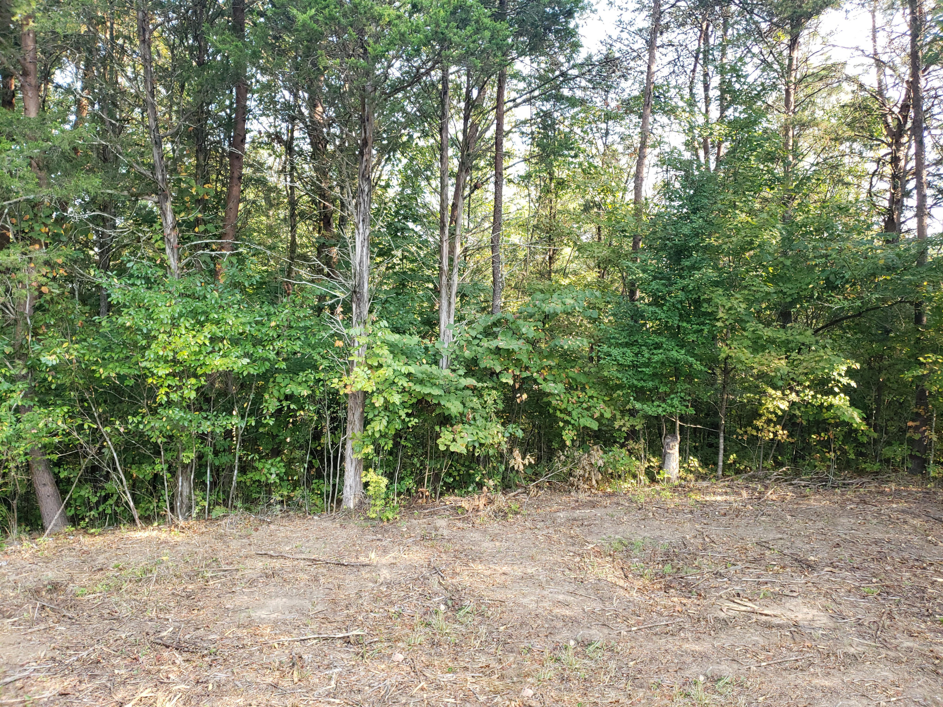 8.07 Smith School Road Kodak, TN 37764 - Photo 7 of 23 Top06