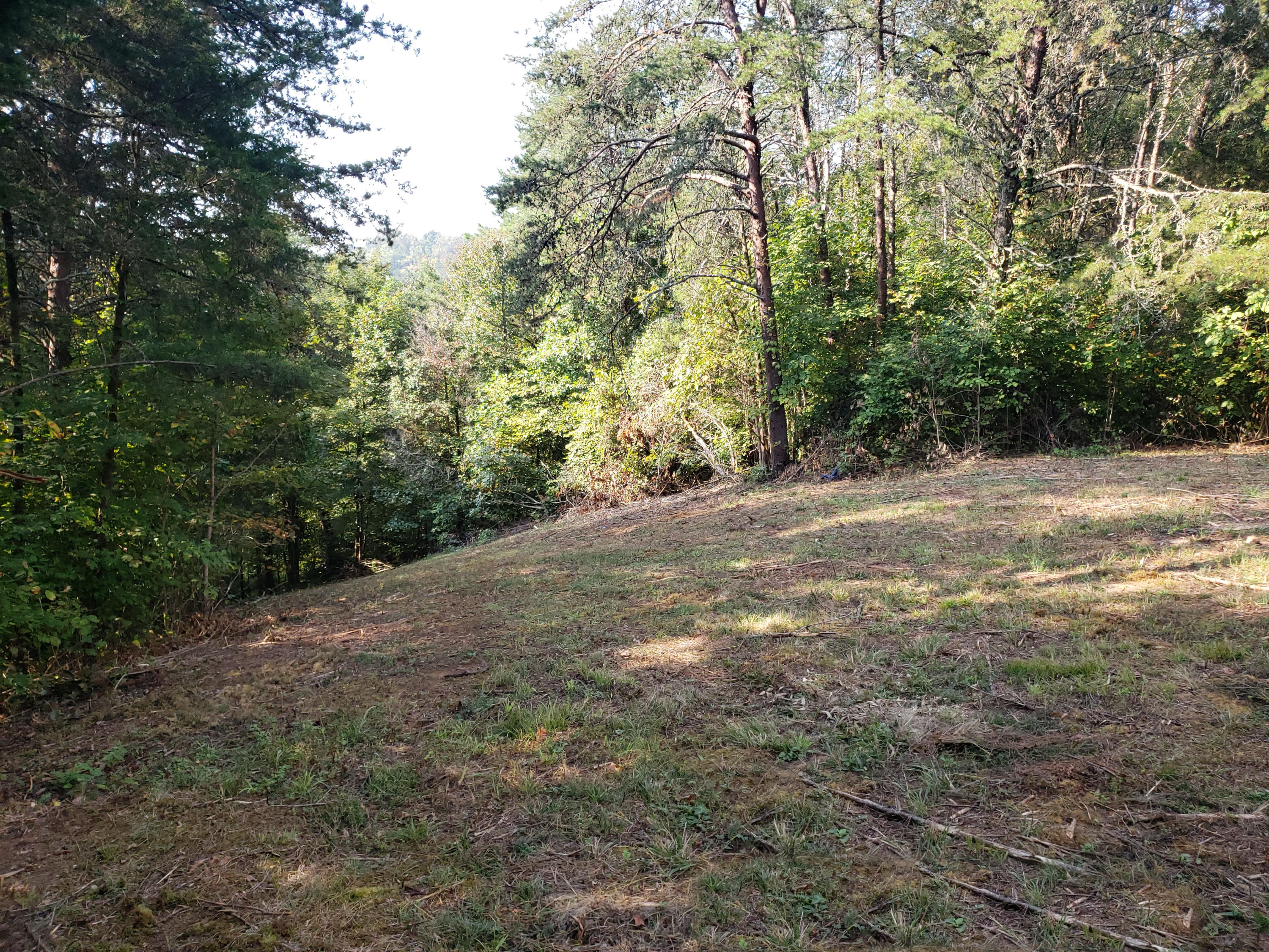 8.07 Smith School Road Kodak, TN 37764 - Photo 8 of 23 Top07