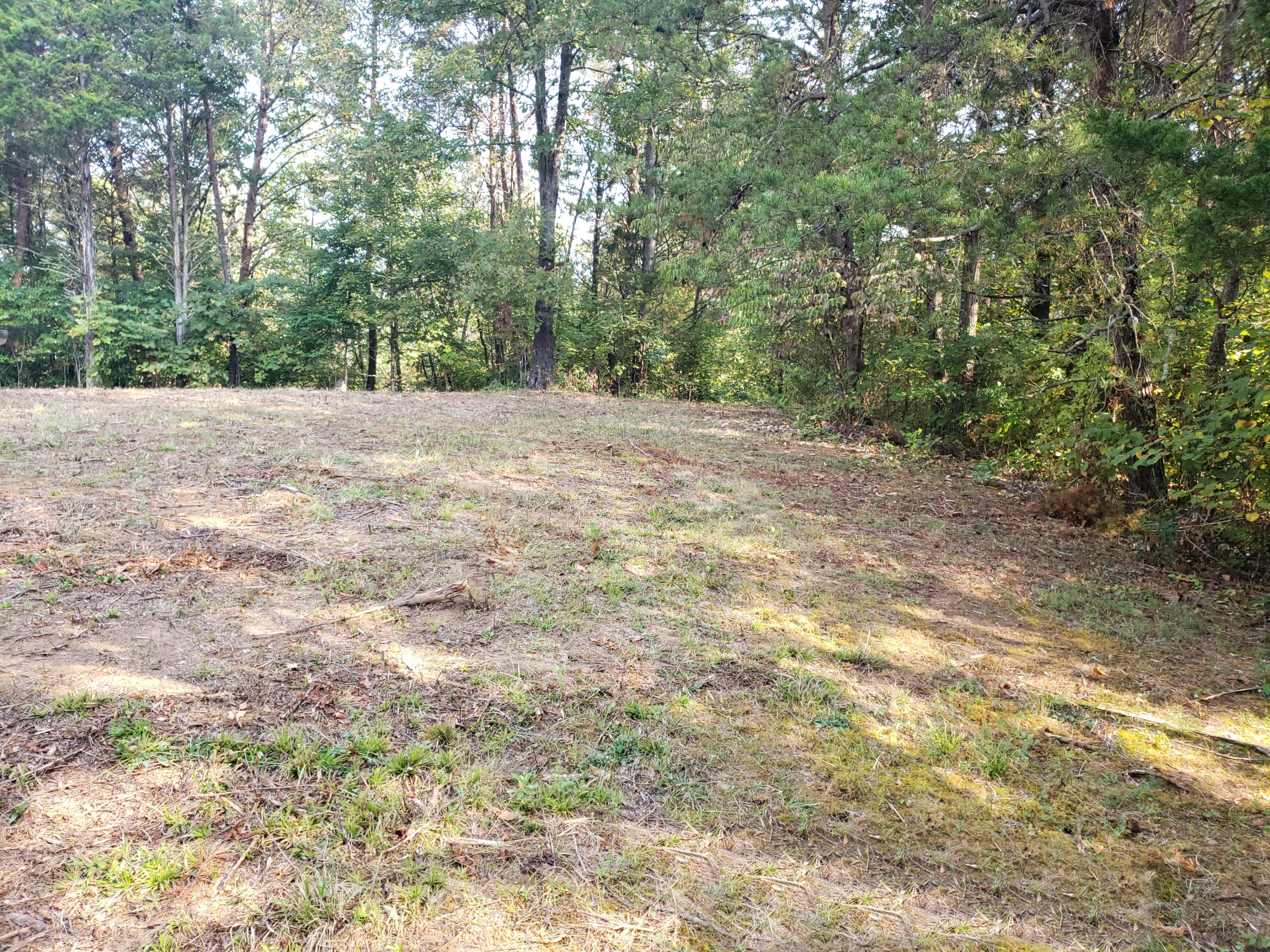 8.07 Smith School Road Kodak, TN 37764 - Photo 9 of 23 Top08