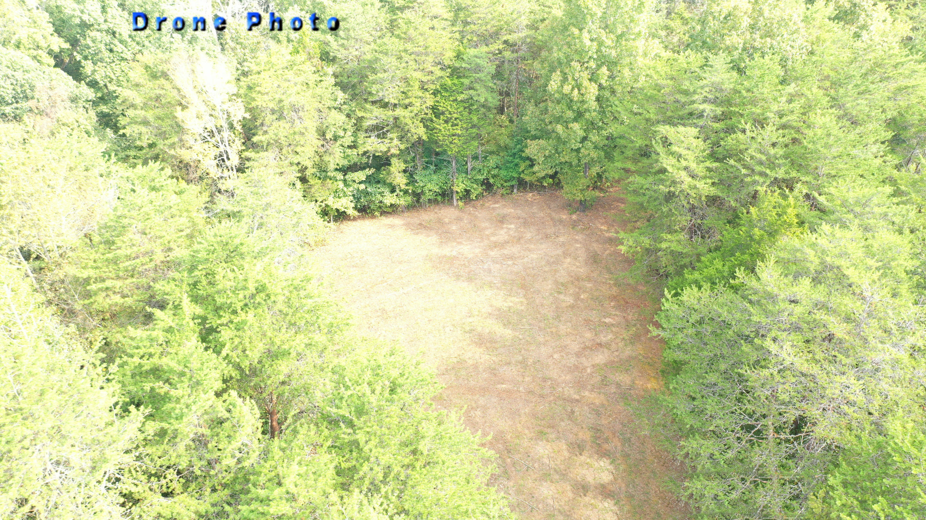 8.07 Smith School Road Kodak, TN 37764 - Photo 10 of 23 Top10