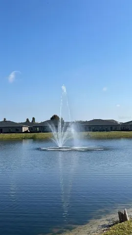 a view of a lake with palm trees next to a lake
