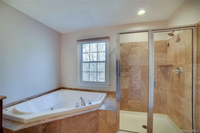 a bathroom with a bathtub and a shower
