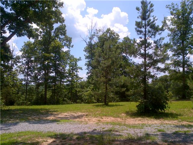 781 Billy Wynn Road Dickson, TN 37055 - Photo 3 of 20