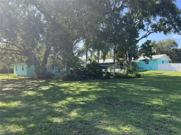 a view of a trees in a yard