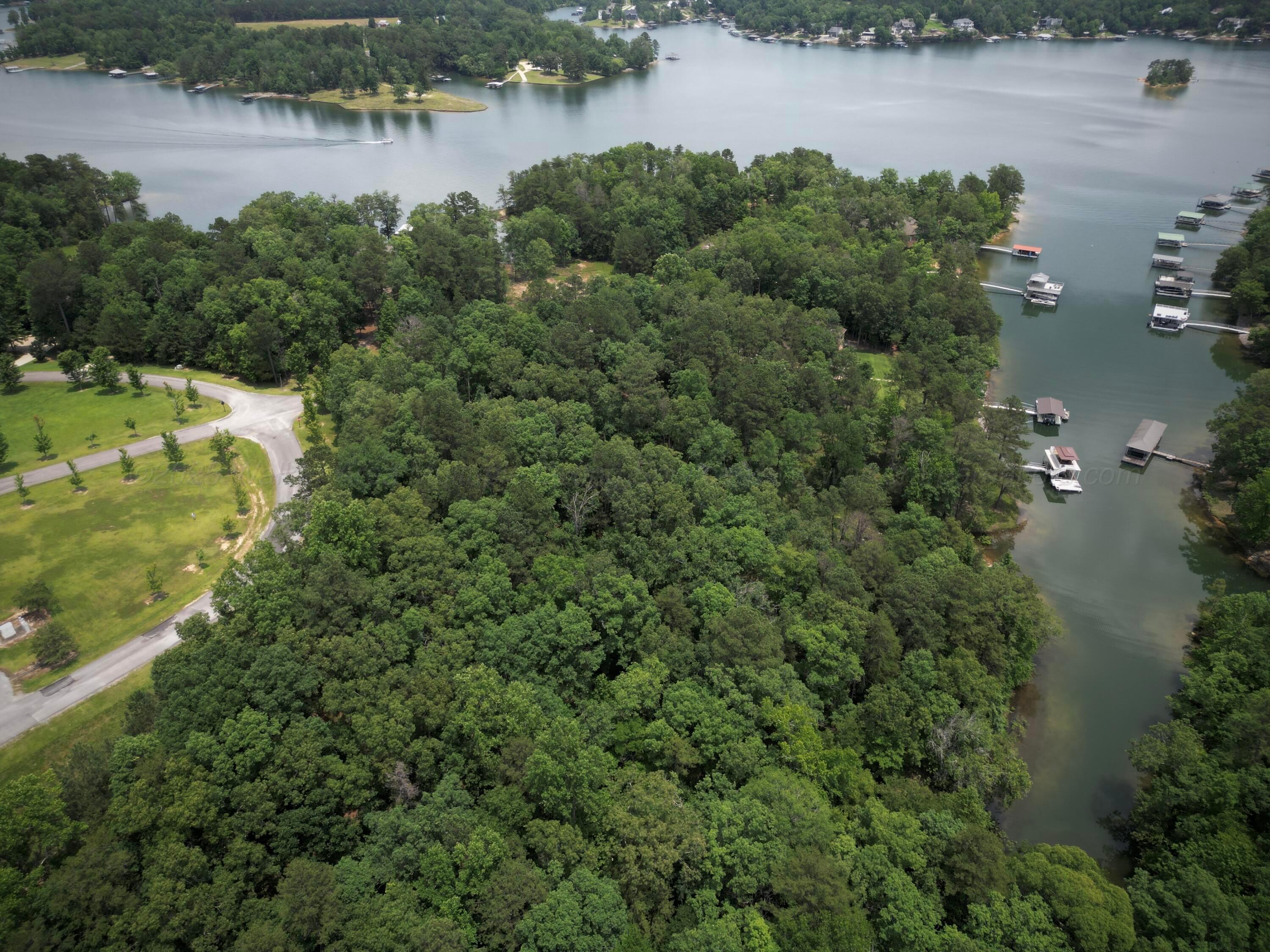 Lot 31 Stoney Point Road Double Springs, AL 35553 - Photo 6 of 22 image29