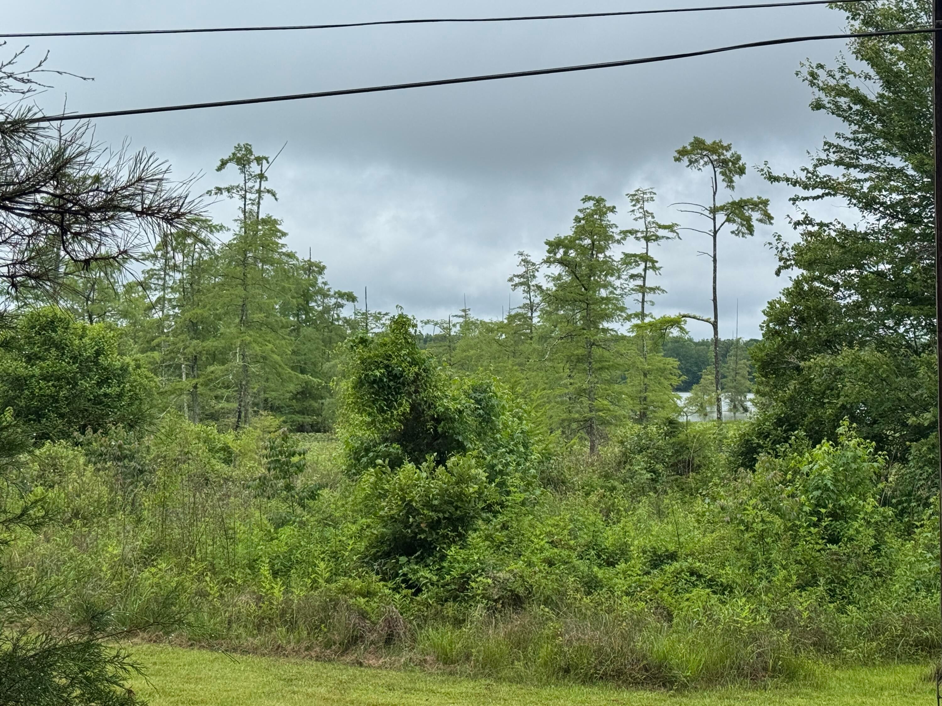 2535 Joe Wheeler Brown Road Fulton, MS 38843 - Photo 46 of 46 45 Water