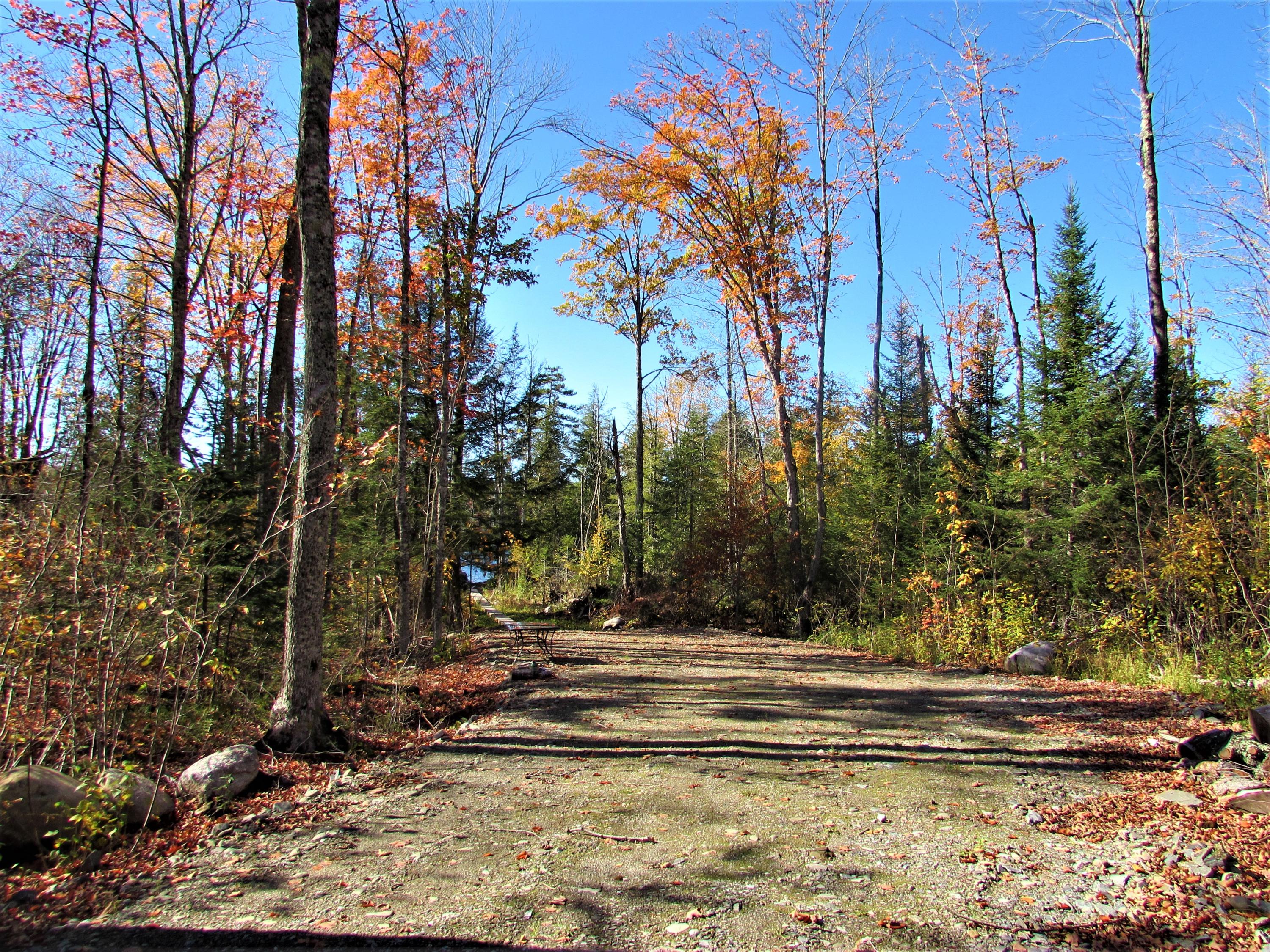 Tbd Deer Run Lane Ripley, ME 04930 - Photo 10 of 13 IMG_1906 - Copy