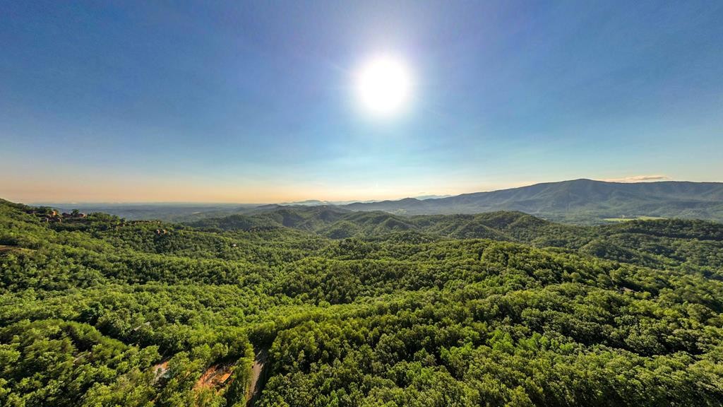 36 Harvest Moon Road Sevierville, TN 37862 - Photo 43 of 48 Gallery Image 43