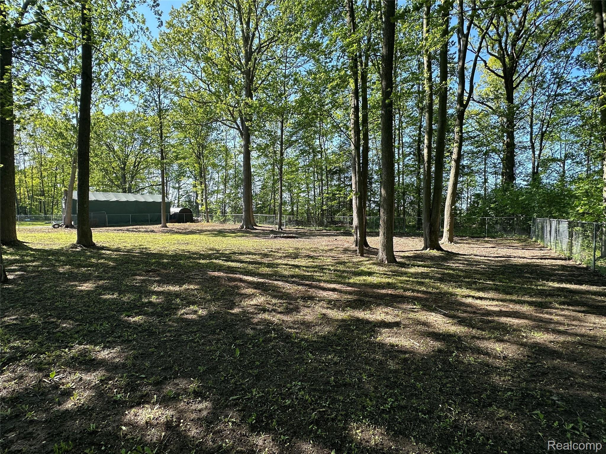 4233 State Road Fort Gratiot, MI 48059 - Photo 64 of 65 IMG_2527.jpeg