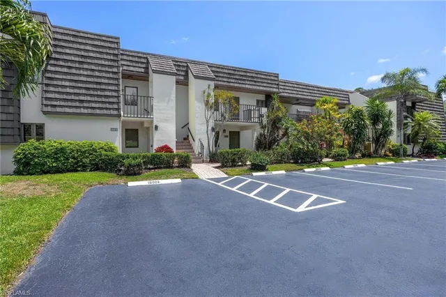 a view of backyard with large trees and plants