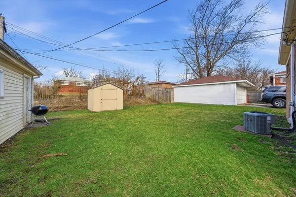 a view of a backyard with plants and large tree
