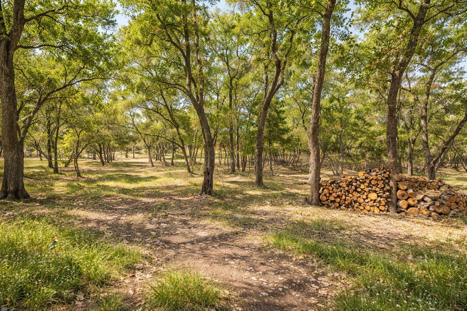 408 Rust Ranch Road Blanco, TX 78606 - Photo 29 of 35 View of local wilderness