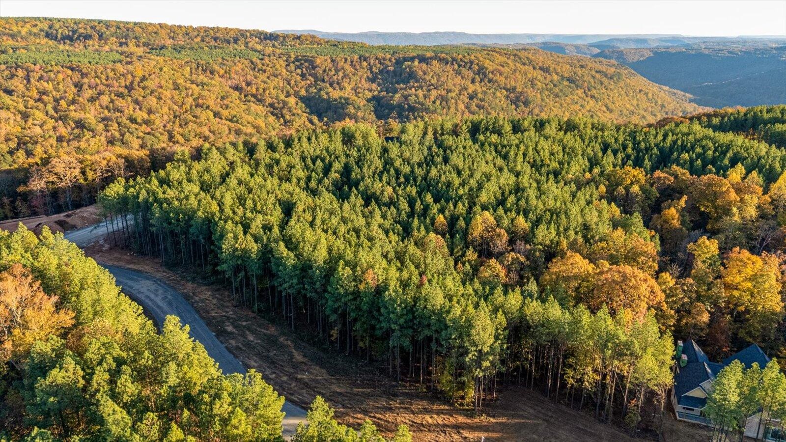 0 Legacy Drive Guild, TN 37340 - Photo 11 of 15 a view of an outdoor space