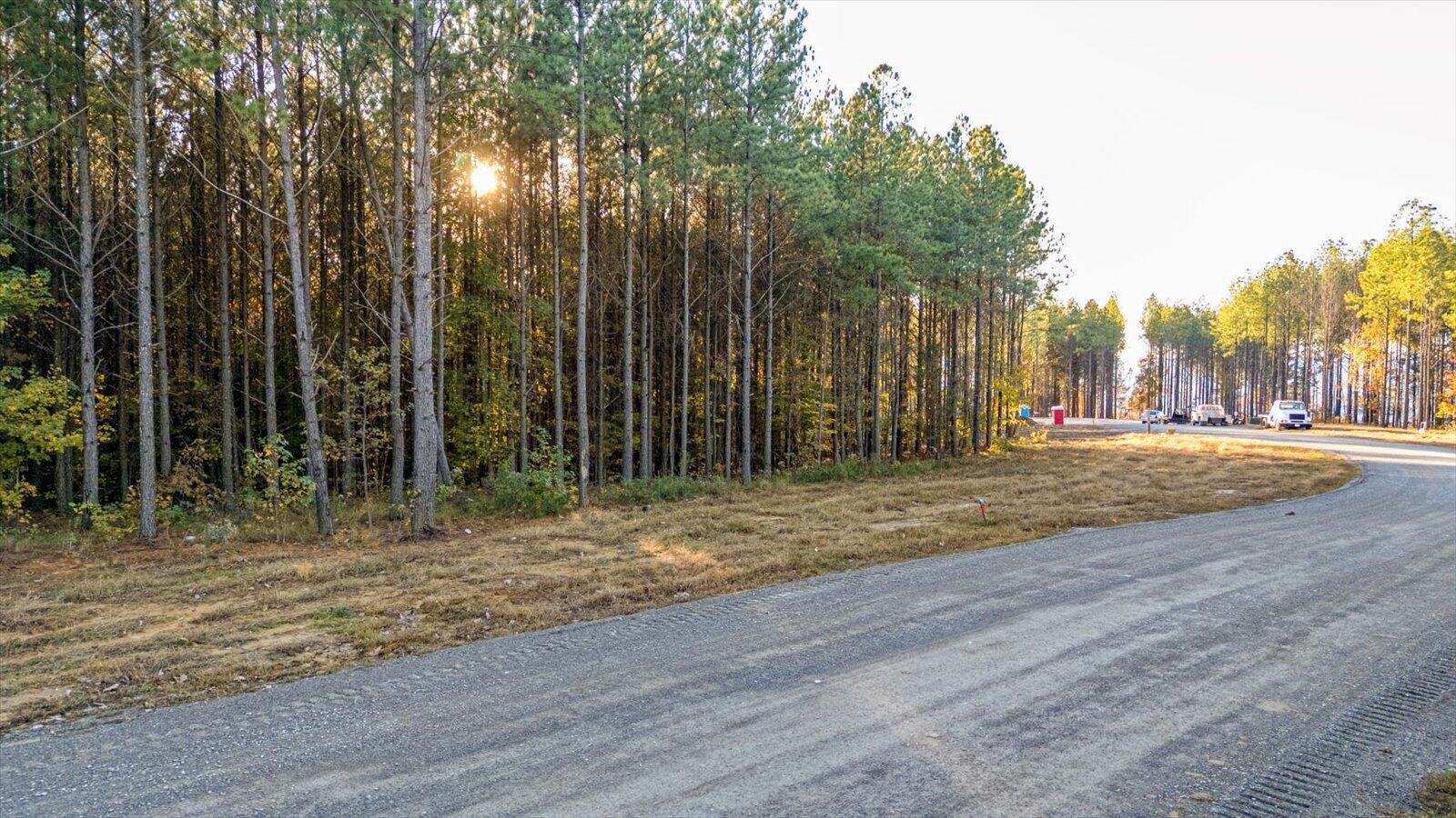 0 Legacy Drive Guild, TN 37340 - Photo 3 of 15 a view of backyard space with trees