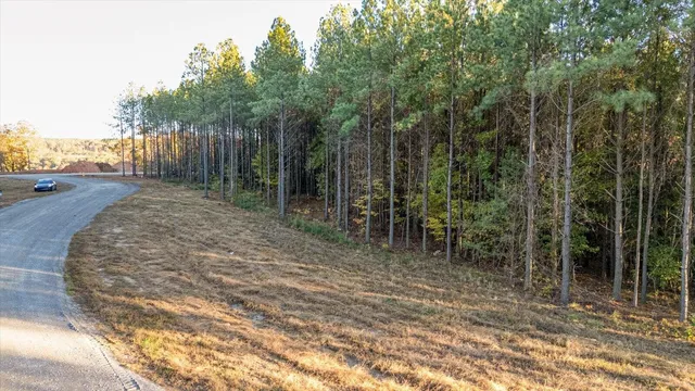 $220,000 | 0 Legacy Drive, Guild, TN 37340