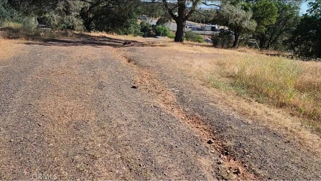 0 Foothill Oroville, CA 95966 - Photo 31 of 53 a view of a yard with a tree