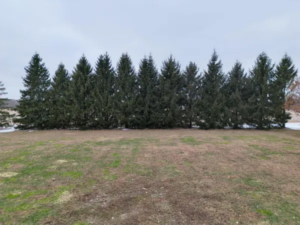 $79,900 | V/l South Bradley Road, Charlotte, MI 48813