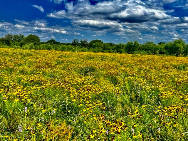 7785 Ranch Road 2241 Bluffton, TX 78607 - Photo 33 of 47 Gallery Image 33