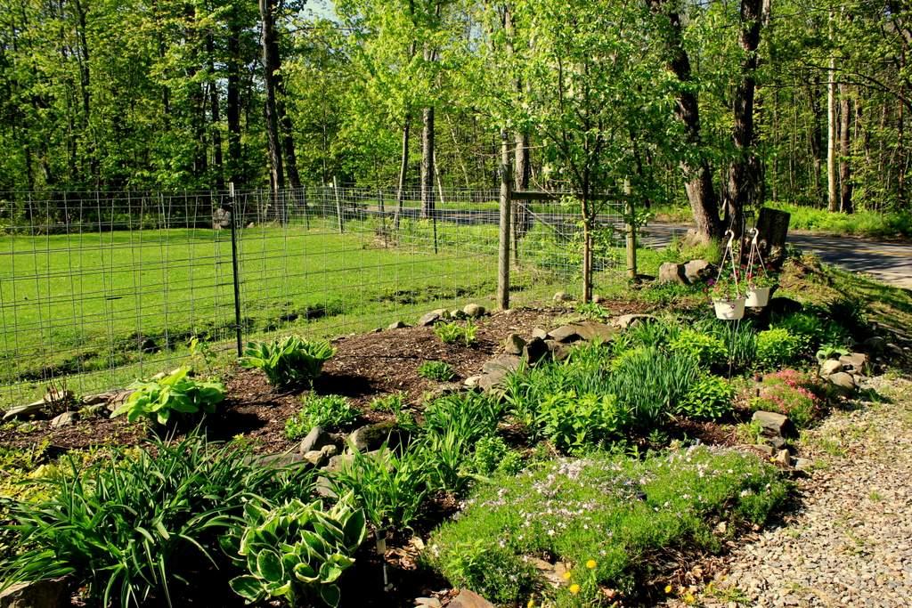 581 South Strong Road Farmington, ME 04938 - Photo 31 of 33 Yard