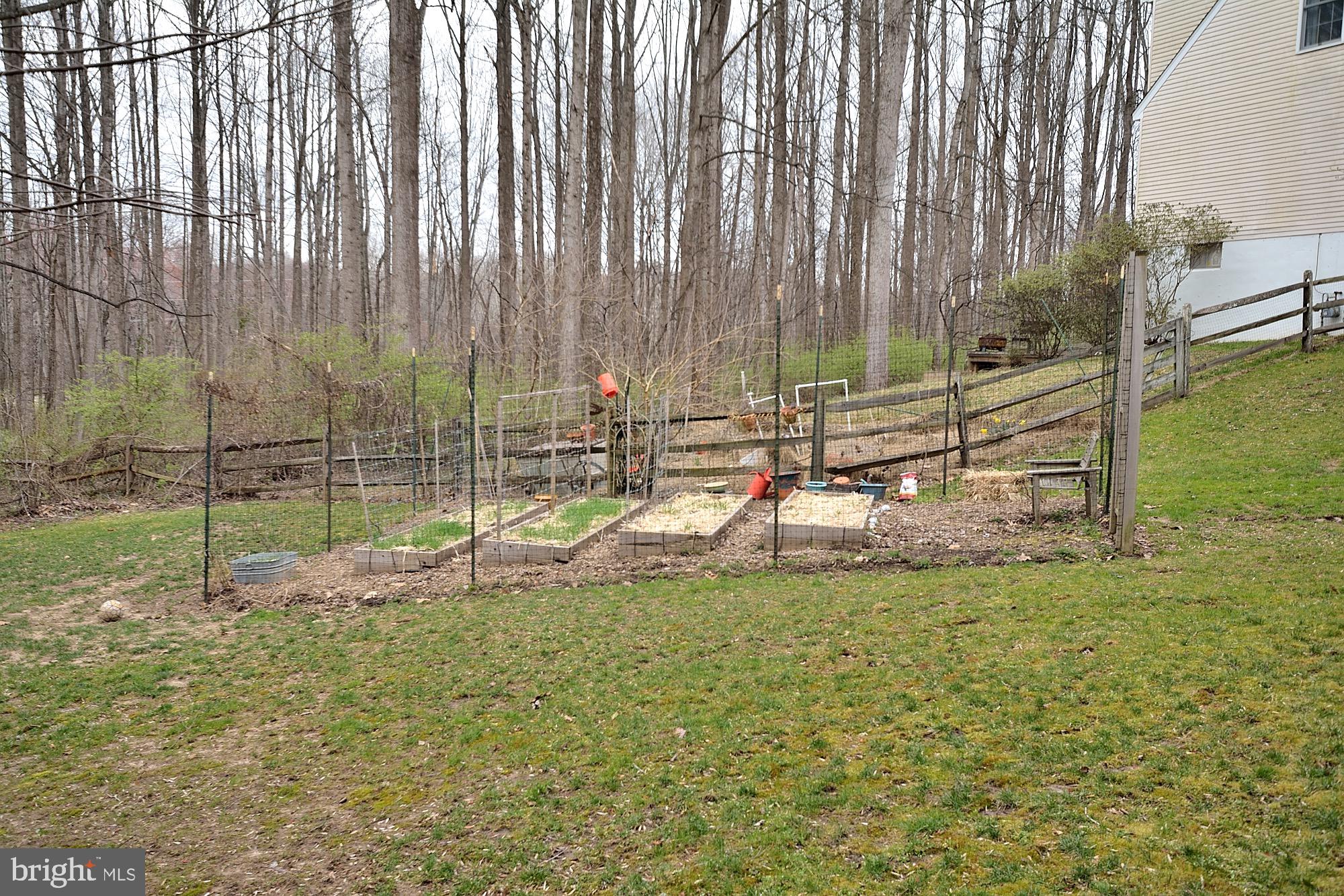 2000 Adams Hill Road Vienna, VA 22182 - Photo 43 of 45 Enclosed Garden