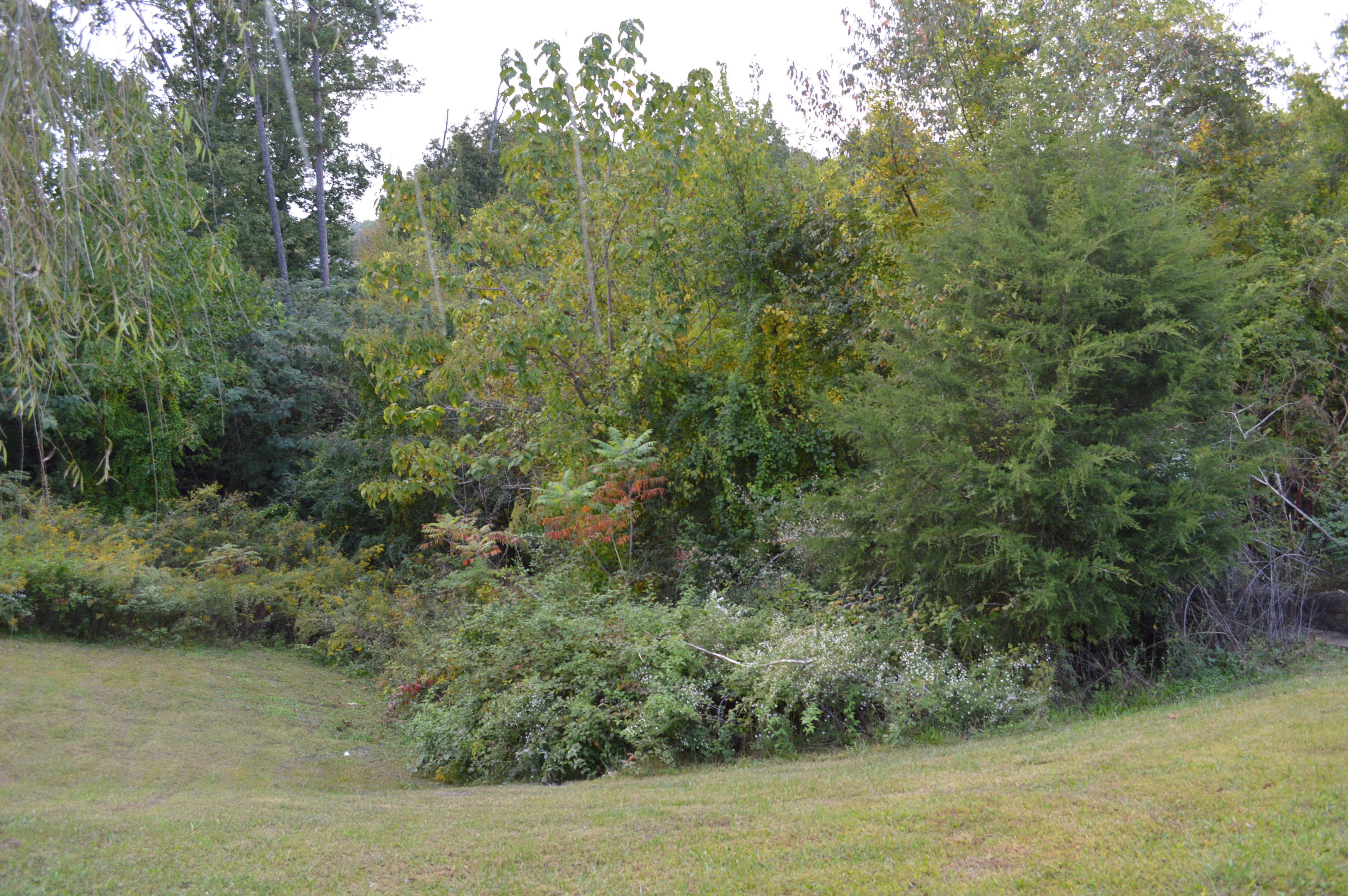 6215 Hunter Valley Road Ooltewah, TN 37363 - Photo 31 of 32 lot next door