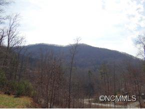 205 Riene Road Swannanoa, NC 28778 - Photo 23 of 24 Gallery Image 23