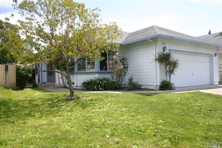 a house that has a tree in front of it