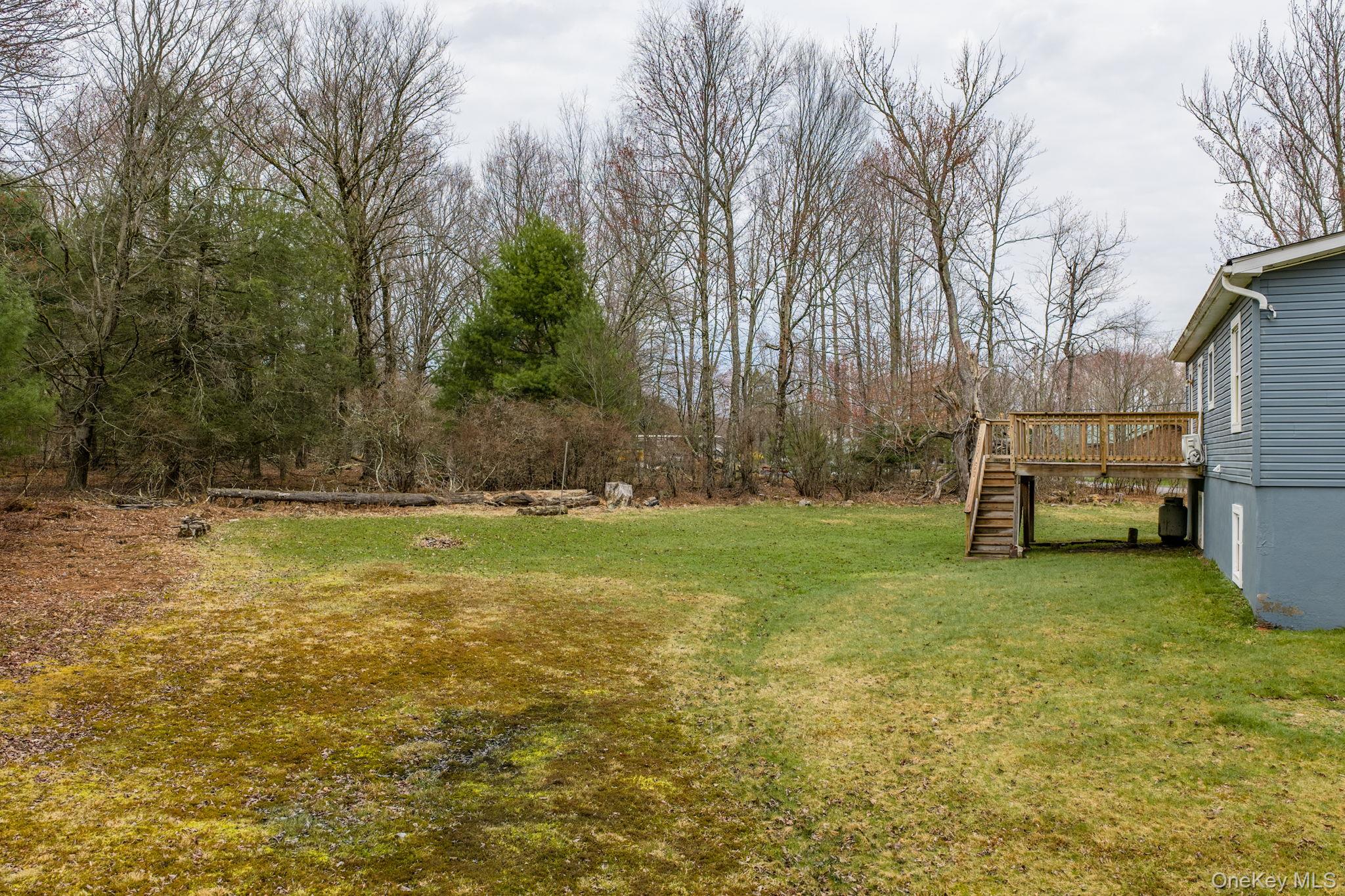 39 Dingle Daisy Road Monticello, NY 12701 - Photo 33 of 36 a view of a backyard with large trees