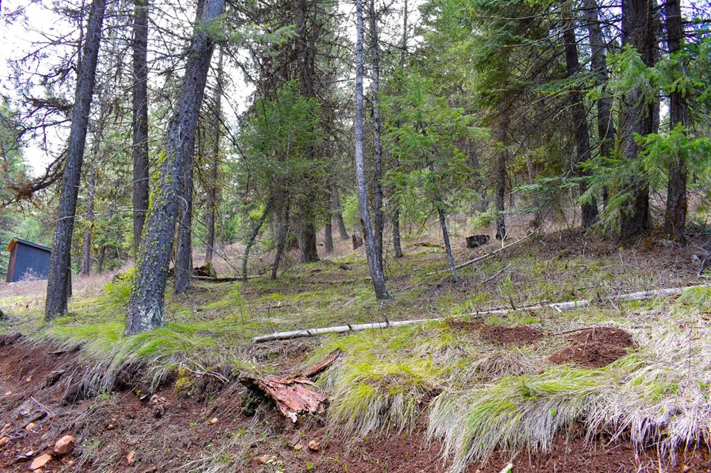 Lot 19 Little Salmon Road, Unit 19 New Meadows, ID 83654 - Photo 28 of 37