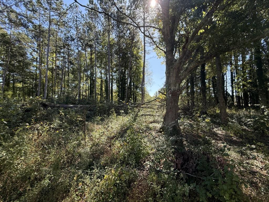 5666 McLeod Street Lula, GA 30554 - Photo 12 of 14